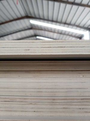 Interieurpaneel van houten fineerplaten met E1-standaard en verfvrij ecologisch bord