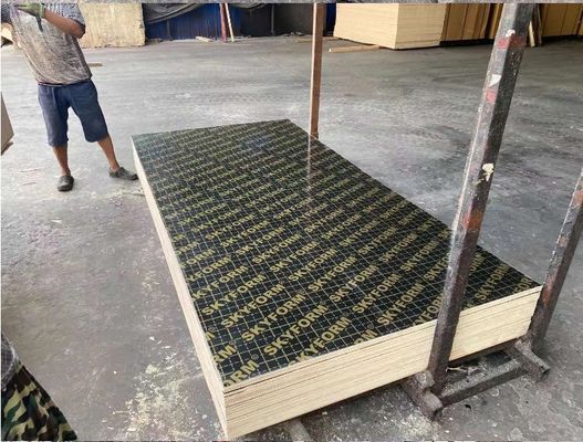 12 mm film geconfronteerd multiplex voor de bouw veneer board oppervlakte materiaal melamine board