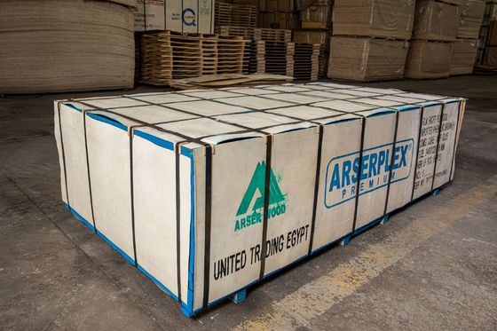 FIRST-CLASS Plastic gelamineerd triplex met hoge productie normen en concurrerende