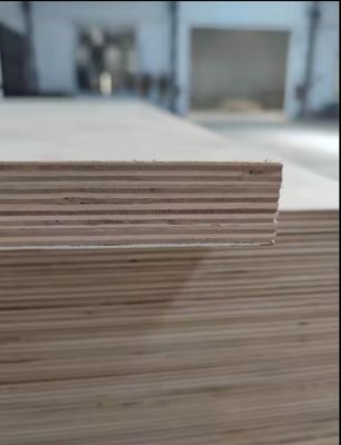 Gepersonaliseerd waterdicht Marine 3mm-21mm Melamine gelamineerd triplex voor hoteldecoratie