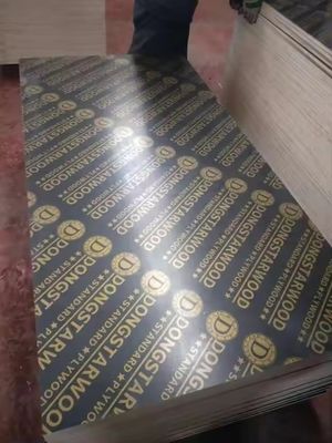 18 mm Marine Plywood Pine Material Film Geconfronteerd Plywood voor Constructie Beperkt Aanbod