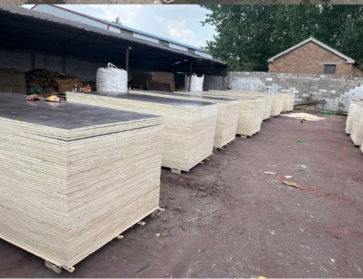Moderne scharnieren met anti-glijden triplex voor de bouw 4x8 9mm 12mm 15mm 18mm 21mm