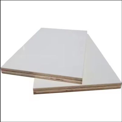 Dubbelzijdige decoratie Moderne veneer board 12x18mm Marine film geconfronteerd tegenlaagpanelen