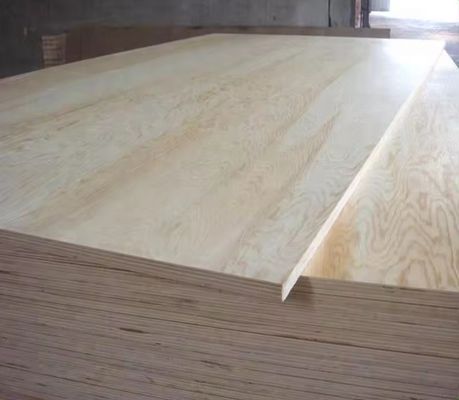 4x8 voet 1/2 3/4 5/8 dikte Melamine triplex voor niet-metaalpaneelmateriaal in Marokko